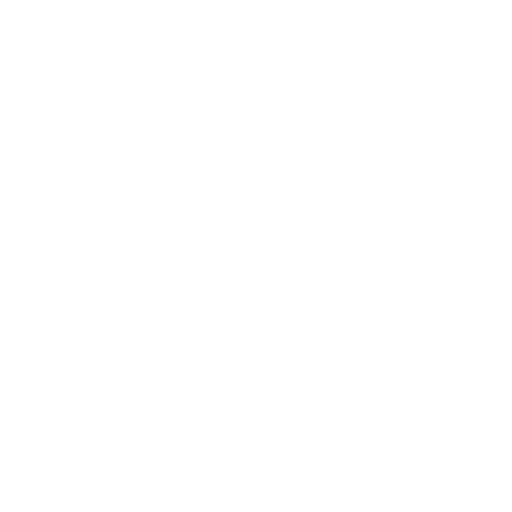 shopify website service
